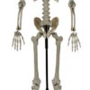 Squelette Geant 160 Cm
