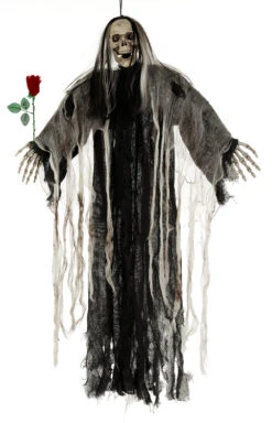 Squelette Animé Avec Rose