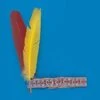 Bandeau Indien 2 Plumes
