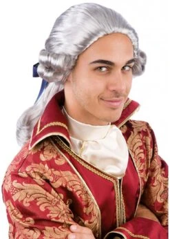Perruque De Marquis Argenté