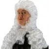 Perruque Louis XIV Luxe Blanche