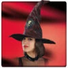 Chapeau De Sorcière Ou Mage