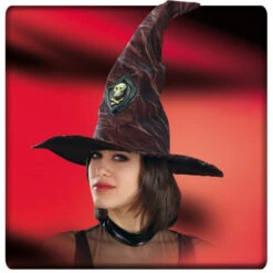 Chapeau De Sorcière Ou Mage
