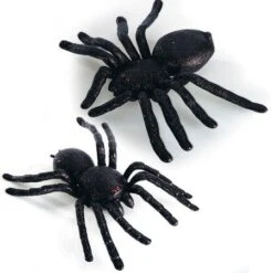 Araignée Pailletée