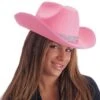 Chapeau Western Rose