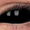 Lentilles De Contact Sclera Noire