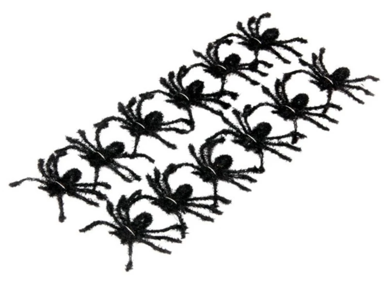 12 Araignées 1 12 Araignées