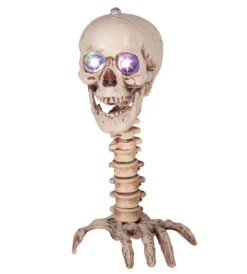 Décoration Tête De Mort Sur Main