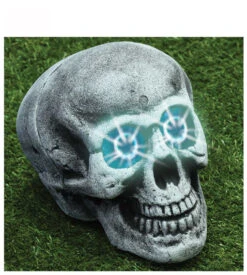 Tête De Mort Lumineuse