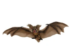 Chauve Souris Géante