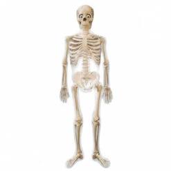 Ballon Mylar Squelette 190cm