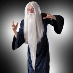 Perruque Et Barbe De Merlin