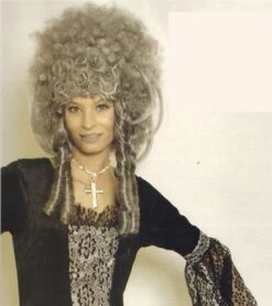 Perruque Baroque Grise