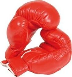 Gants De Boxes