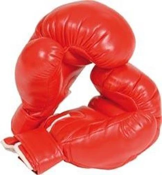 Gants De Boxes 1 Gants De Boxes