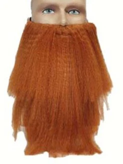 Barbe Et Moustache Rousse