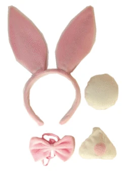 Kit De Lapin Rose