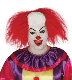Perruque Clown