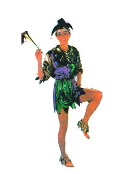 Déguisement De Lutin Ou Fou Du Roi