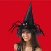 Chapeau De Sorcière Araignée