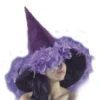 Chapeau Halloween Velours Et Plumes Violettes