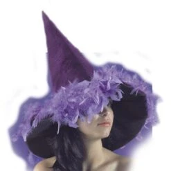 Chapeau Halloween Velours Et Plumes Violettes