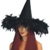 Chapeau Halloween En Velours Et Plumes Noir