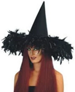 Chapeau Halloween En Velours Et Plumes Noir