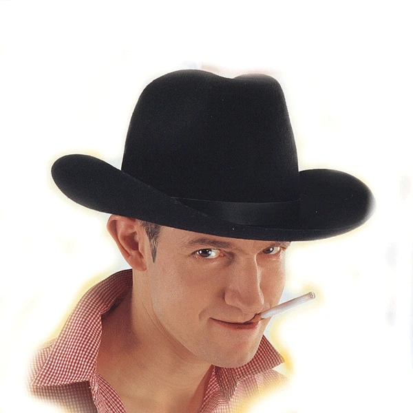 Chapeau Western Dallas Laine 1 Chapeau Western Dallas Laine