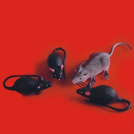4 Rats En Plastique 6 Cm 2 4 Rats En Plastique 6 Cm – Image 2