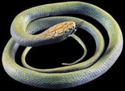 Serpent En Plastique 115Cm