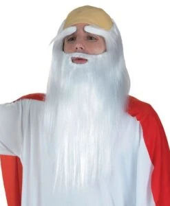Perruque Druide Panoramix