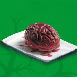 Cerveau En Latex