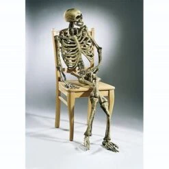 Squelette Latex