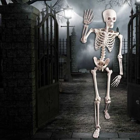 Squelette Géant 160 Cm 1 Squelette Géant 160 Cm