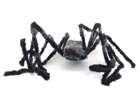 Araignée Géante 1 Araignée Géante