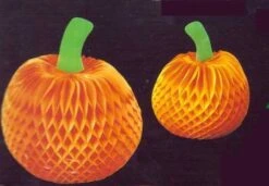 Citrouille Papier Alvéolé