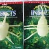 Insectes Glow Par 3