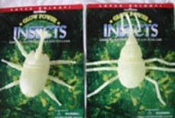 Insectes Glow Par 3