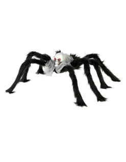 Araignee Avec Tête De Mort