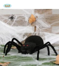 Araignee Noire 35 Cm X 50 Cm