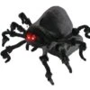 Araignee Sauteuse