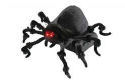 Araignee Sauteuse
