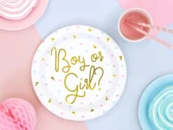 Netbootic -Netbootic assiettes en carton fille ou garcon 2