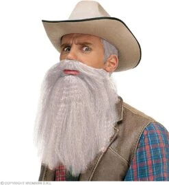 Barbe Et Moustaches Grises Avec Lèvres