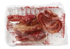 Barquette D'organes Humains Coupés.