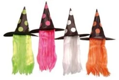 Chapeau De Sorcière Avec Cheveux