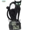 Chat Noir Lumineux