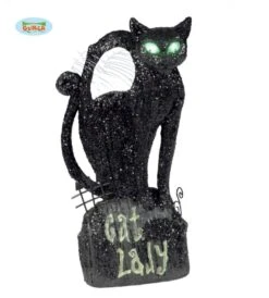Chat Noir Lumineux