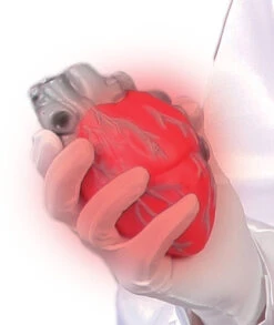 Coeur En Plastique Lumineux